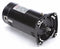 Century 3/4 HP Square Flange Pool Pump Motor, Capacitor-Start, 3450 Nameplate RPM, 115/230 Voltage, 48Y Fram - SQ1072