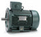 Leeson 4 HP Premium Efficiency Metric Motor,3-Phase,1760 Nameplate RPM,230/460 Voltage,Frame DF100LD - 193337.6
