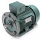 Leeson 4 HP Premium Efficiency Metric Motor,3-Phase,1760 Nameplate RPM,230/460 Voltage,Frame DF100LD - 193337.6