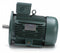 Leeson 4 HP Premium Efficiency Metric Motor,3-Phase,1760 Nameplate RPM,230/460 Voltage,Frame DF100LD - 193337.6