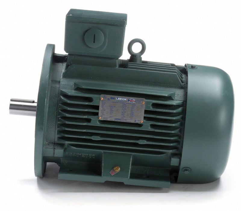 Leeson 4 HP Premium Efficiency Metric Motor,3-Phase,1760 Nameplate RPM,230/460 Voltage,Frame DF100LD - 193337.6