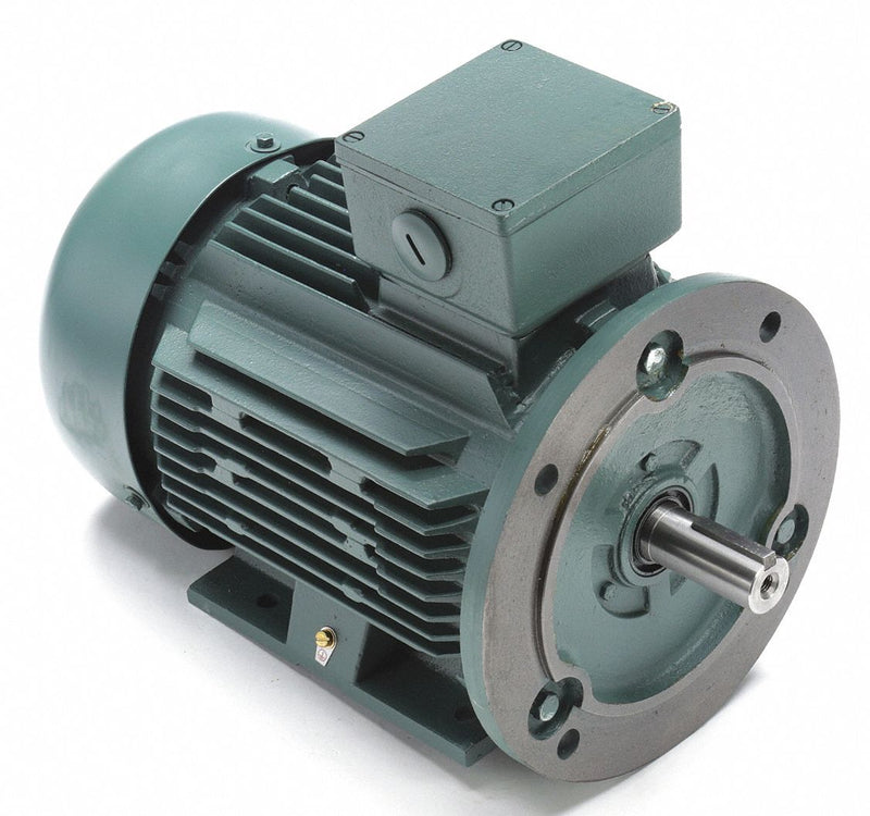 Leeson 4 HP Premium Efficiency Metric Motor,3-Phase,1760 Nameplate RPM,230/460 Voltage,Frame DF100LD - 193337.6