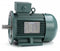 Leeson 5 1/2 HP Premium Efficiency Metric Motor,3-Phase,3510 Nameplate RPM,230/460 Voltage,Frame DF112MD - 193339.6