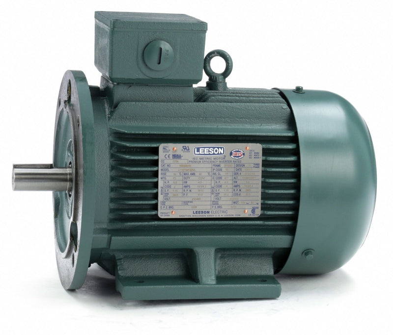 Leeson 5 1/2 HP Premium Efficiency Metric Motor,3-Phase,3510 Nameplate RPM,230/460 Voltage,Frame DF112MD - 193339.6