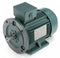 Leeson 5 1/2 HP Premium Efficiency Metric Motor,3-Phase,3510 Nameplate RPM,230/460 Voltage,Frame DF112MD - 193339.6