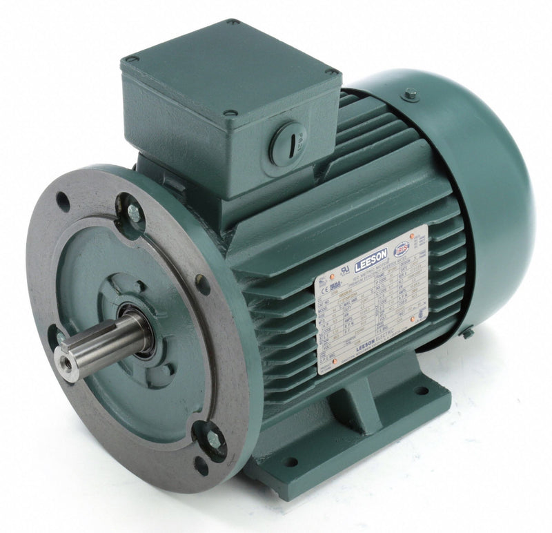Leeson 5 1/2 HP Premium Efficiency Metric Motor,3-Phase,3510 Nameplate RPM,230/460 Voltage,Frame DF112MD - 193339.6