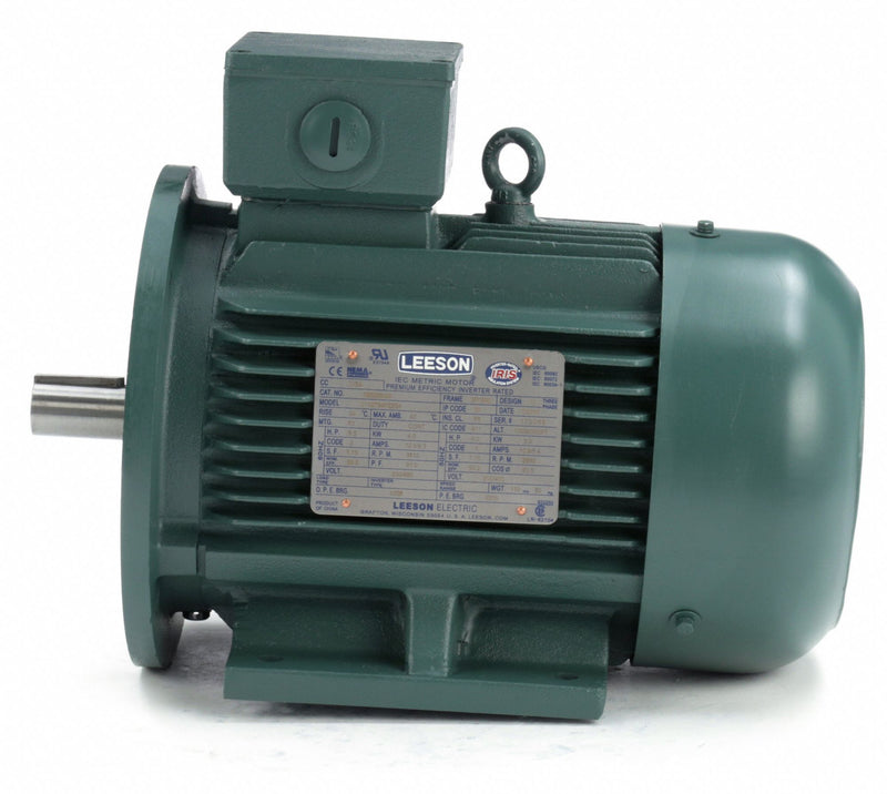 Leeson 5 1/2 HP Premium Efficiency Metric Motor,3-Phase,3510 Nameplate RPM,230/460 Voltage,Frame DF112MD - 193339.6