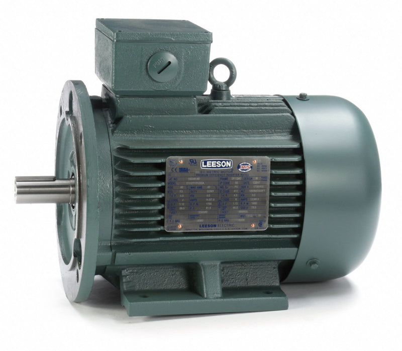 Leeson 5 1/2 HP Premium Efficiency Metric Motor,3-Phase,1755 Nameplate RPM,230/460 Voltage,Frame DF112MD - 193340.6