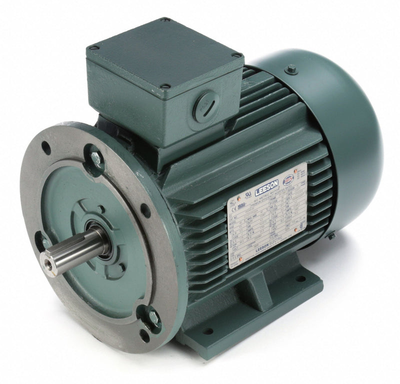 Leeson 5 1/2 HP Premium Efficiency Metric Motor,3-Phase,1755 Nameplate RPM,230/460 Voltage,Frame DF112MD - 193340.6