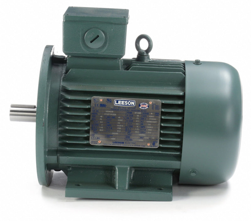 Leeson 5 1/2 HP Premium Efficiency Metric Motor,3-Phase,1755 Nameplate RPM,230/460 Voltage,Frame DF112MD - 193340.6