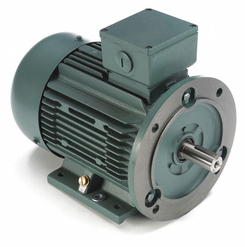 Leeson 5 1/2 HP Premium Efficiency Metric Motor,3-Phase,1755 Nameplate RPM,230/460 Voltage,Frame DF112MD - 193340.6