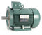 Leeson 10 HP Premium Efficiency Metric Motor,3-Phase,1765 Nameplate RPM,230/460 Voltage,Frame DF132MD - 193346.6