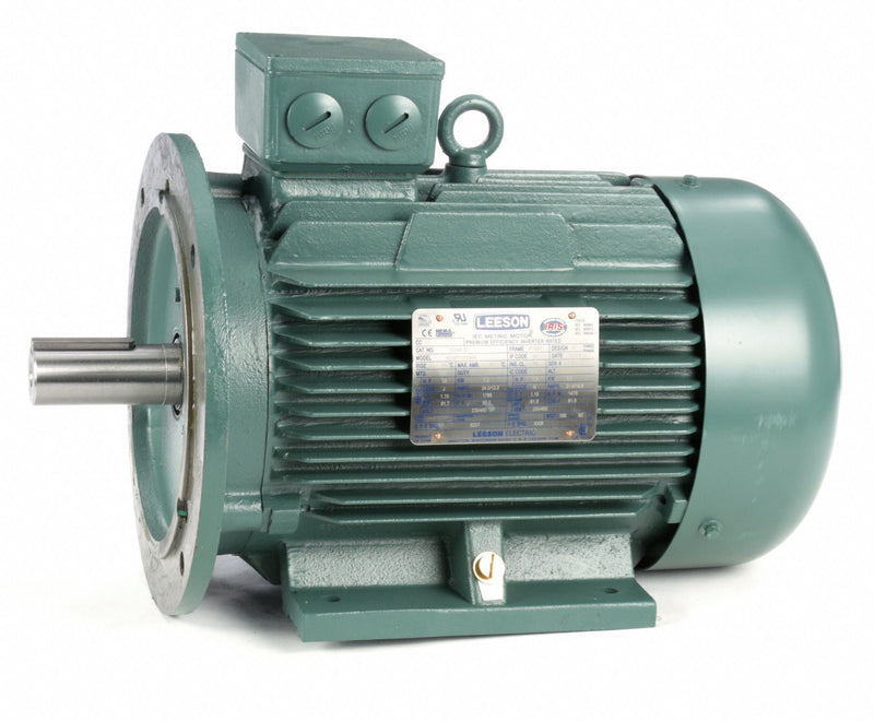 Leeson 10 HP Premium Efficiency Metric Motor,3-Phase,1765 Nameplate RPM,230/460 Voltage,Frame DF132MD - 193346.6
