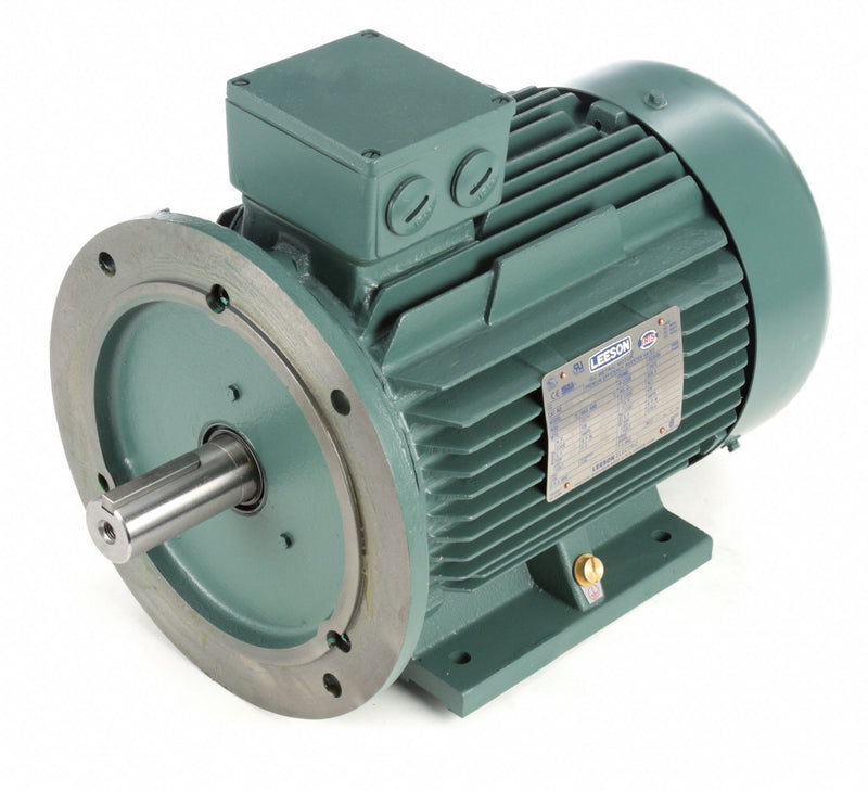 Leeson 10 HP Premium Efficiency Metric Motor,3-Phase,1765 Nameplate RPM,230/460 Voltage,Frame DF132MD - 193346.6