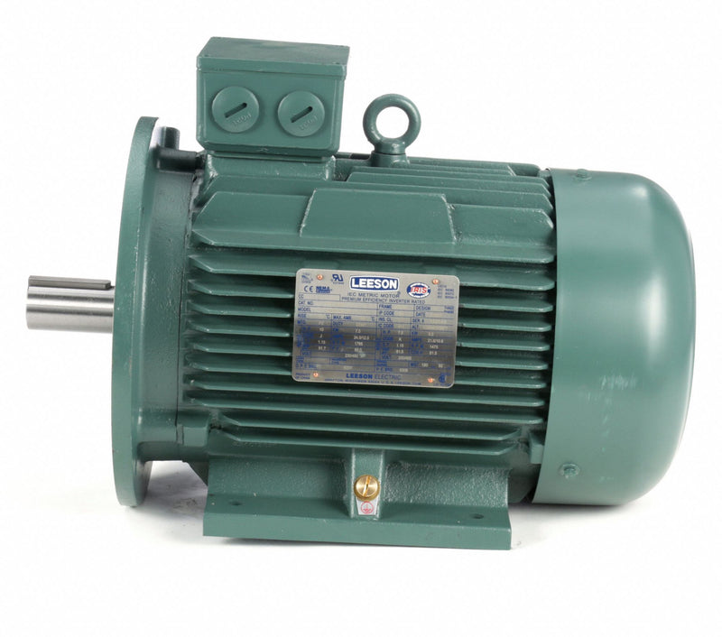 Leeson 10 HP Premium Efficiency Metric Motor,3-Phase,1765 Nameplate RPM,230/460 Voltage,Frame DF132MD - 193346.6