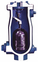 Val-Matic 150 psi Waste Water Air Release/Air Vacuum Valve, 2 in Inlet Size, 1 in Outlet Size - 801A