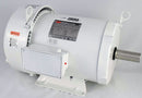Dayton 10 HP Washdown Motor,3-Phase,1760 Nameplate RPM,230/460 Voltage,Frame 215T - 5XAV3