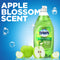 Dawn Ultra Antibacterial Dishwashing Liquid, Apple Blossom, 40 Oz Bottle - PGC91093EA