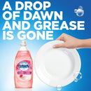 Dawn Ultra Gentle Clean, Pomegranate Splash, 24 Oz Bottle, 10/Carton - PGC74093