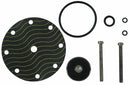 Watts Pilot Rebuild Kit, 6AKX0 For Use With - CP16RK