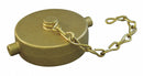Moon American Hydrant Cap, Pin Lug, Material Brass, Breakable No, Gold - 662-1511
