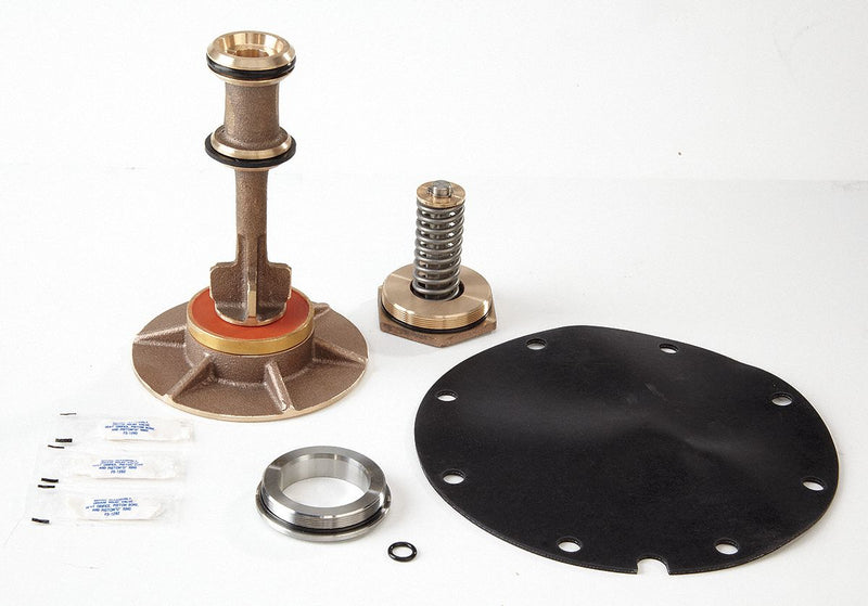 Watts Total Relief Kit, For Use With Watts Series 909, 2-1/2 to 3 in - 909 2 1/2 - 3 Total Relief Kit