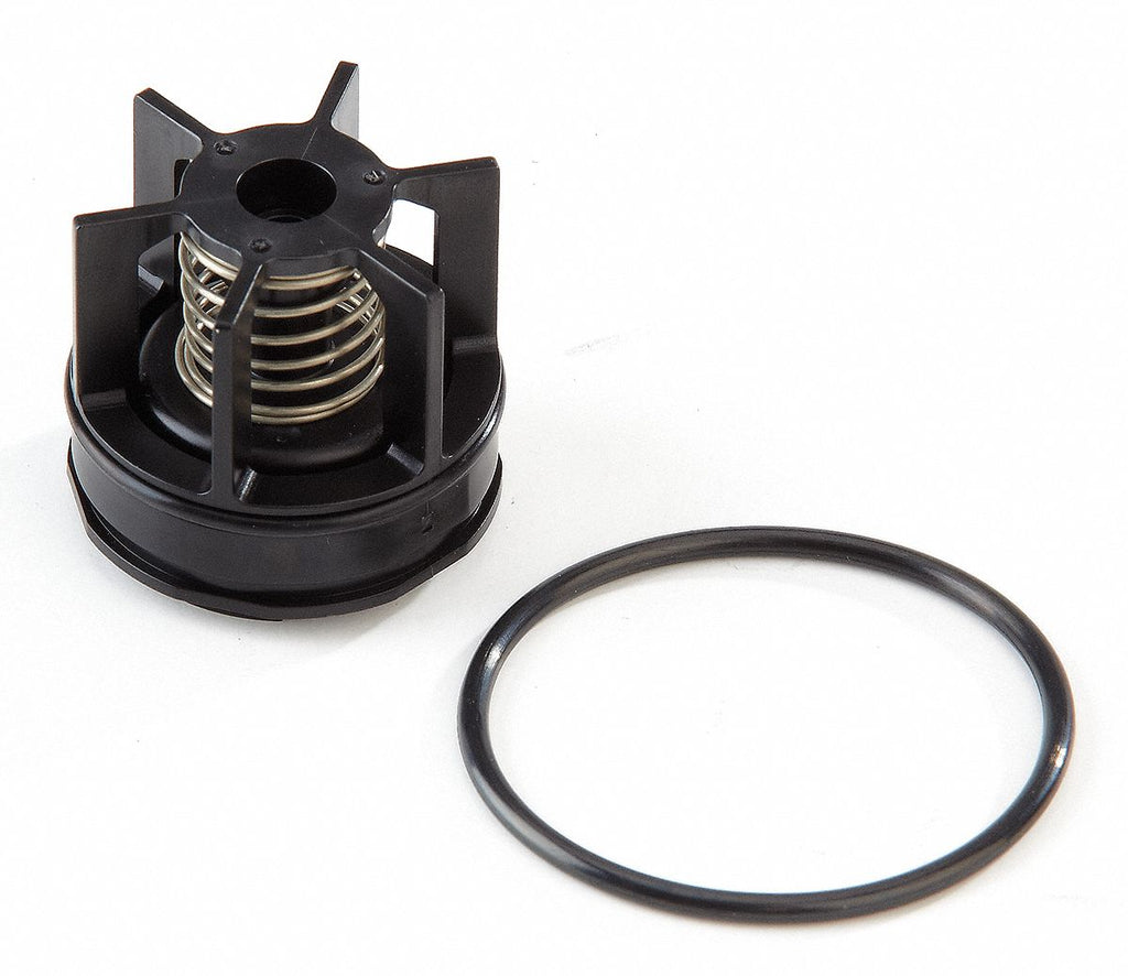 Watts Second Check Valve Repair Kit, For Use With Watts Series 007 M3 ...