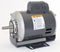 Dayton 1/3 HP Belt Drive Motor, Capacitor-Start, 1725 Nameplate RPM, 115/230 Voltage, Frame 56 - 6K366