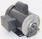 Dayton 1/2 HP, General Purpose Motor, Capacitor-Start, 1725 Nameplate RPM, 115/230 Voltage, 56 Frame - 6K477