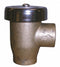 Apollo 1/4 in x 21/32 in Vacuum Breaker, FNPT Connection Type - 3820101