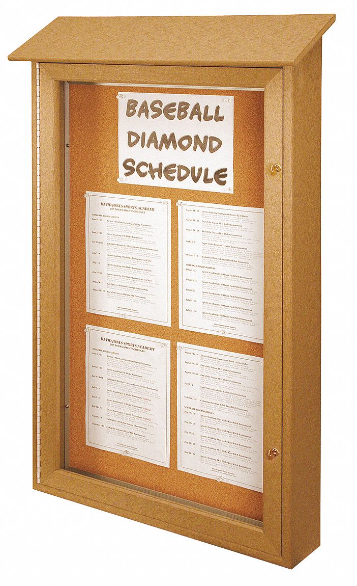 United Visual Push-Pin Outdoor Enclosed Bulletin Board, Natural Cork, 54