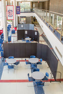 Screenflex Portable Room Divider, Number of Panels 5, 6 ft. 8" Overall Height, 9 ft. 5" Overall Width - CFSL685 BLUE