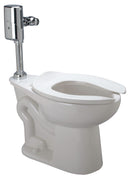 Zurn Zurn One One Piece Bedpan Flushometer Toilet, 1.28 Gallons per Flush, White - Z5656.301.00.00.00