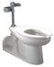 Zurn Zurn One One Piece Flushometer Toilet, 1.6 Gallons per Flush, White - Z5640.186.00.00.00