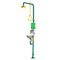 Speakman SE-690-CV Safe-T-Zone Traditional Series Combination Station