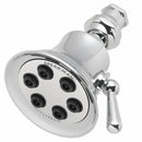 Speakman S-2254 Retro Anystream 6-Jet Shower Head