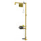 Bradley S19314AC Halo Safety Shower Eye Face Wash, Foot Control