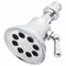 Speakman S-3015 Anystream Retro 8-Jet Showerhead