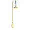 Speakman SE-220-ADA Lifesaver Emergency Shower
