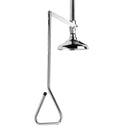 Speakman SE-220-SS Lifesaver Deluge Shower