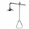 Speakman SE-227-SS Lifesaver Emergency Shower