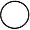 Bradley 269-031 O-Ring (Spec) 1.496Id X .079W