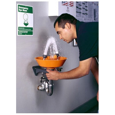 Guardian G1814P Wall Mounted Emergency Eyewash Station, Plastic Bowl