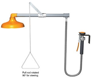 Guardian G1641 Emergency Shower with Drench Hose, Horizontally Mounted