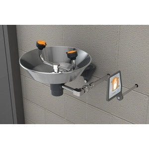 Guardian GFR1814 Freeze-Resistant Wall-Mount Eyewash, Steel Bowl