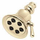 Speakman S-2254-PB Retro Anystream 6-Jet Shower Head