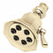 Speakman S-2255-PB Vintage Anystream 6-Jet Shower Head