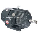 Nidec US Motors C7P1B Corro-Duty 3-Phase Motor, 7.5 HP, 3-Phase, 3600 RPM, 230, 460V, 213T Frame