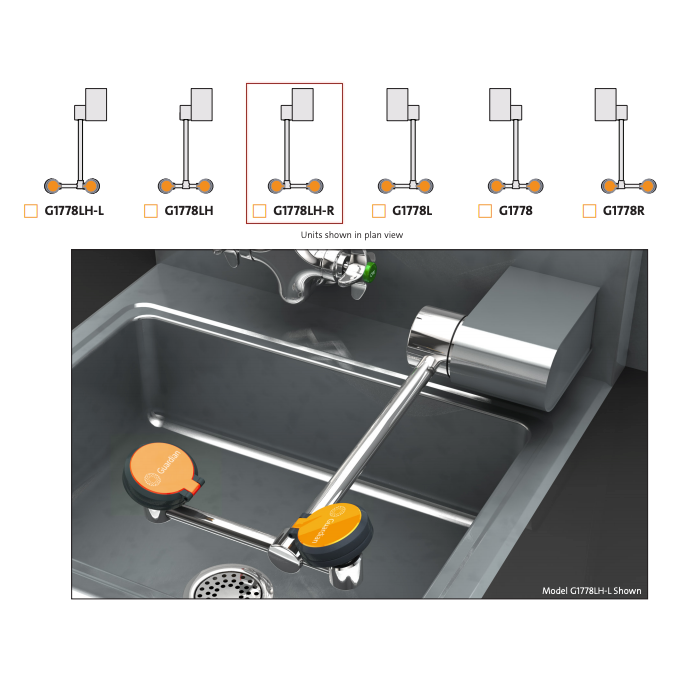 Guardian G1778LH-R Eye/Face Wash, Wall Mounted Swing-Down