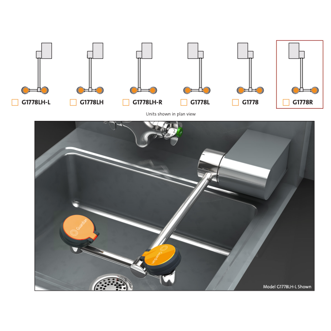 Guardian G1778R Eye/Face Wash, Wall Mounted Swing-Down